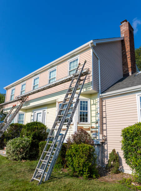 Best Insulated Siding Installation  in Palacios, TX